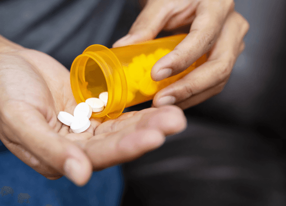Affordable prescription meds from Canada Polarbearmeds