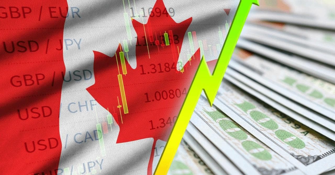 How Does BD Needles Canada Pricing Compare With U.S. Retail Costs