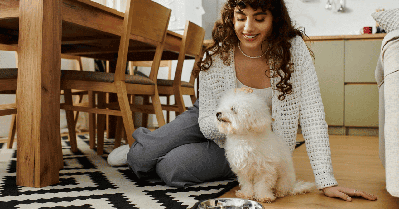 How to Reduce Inflammation in Dogs Naturally with Lifestyle Changes
