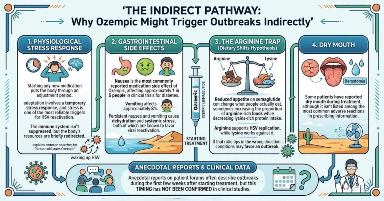 The Indirect Pathway: Why Ozempic Might Trigger Outbreaks Indirectly