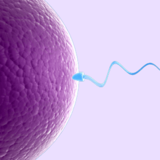 Reproductive Health medications